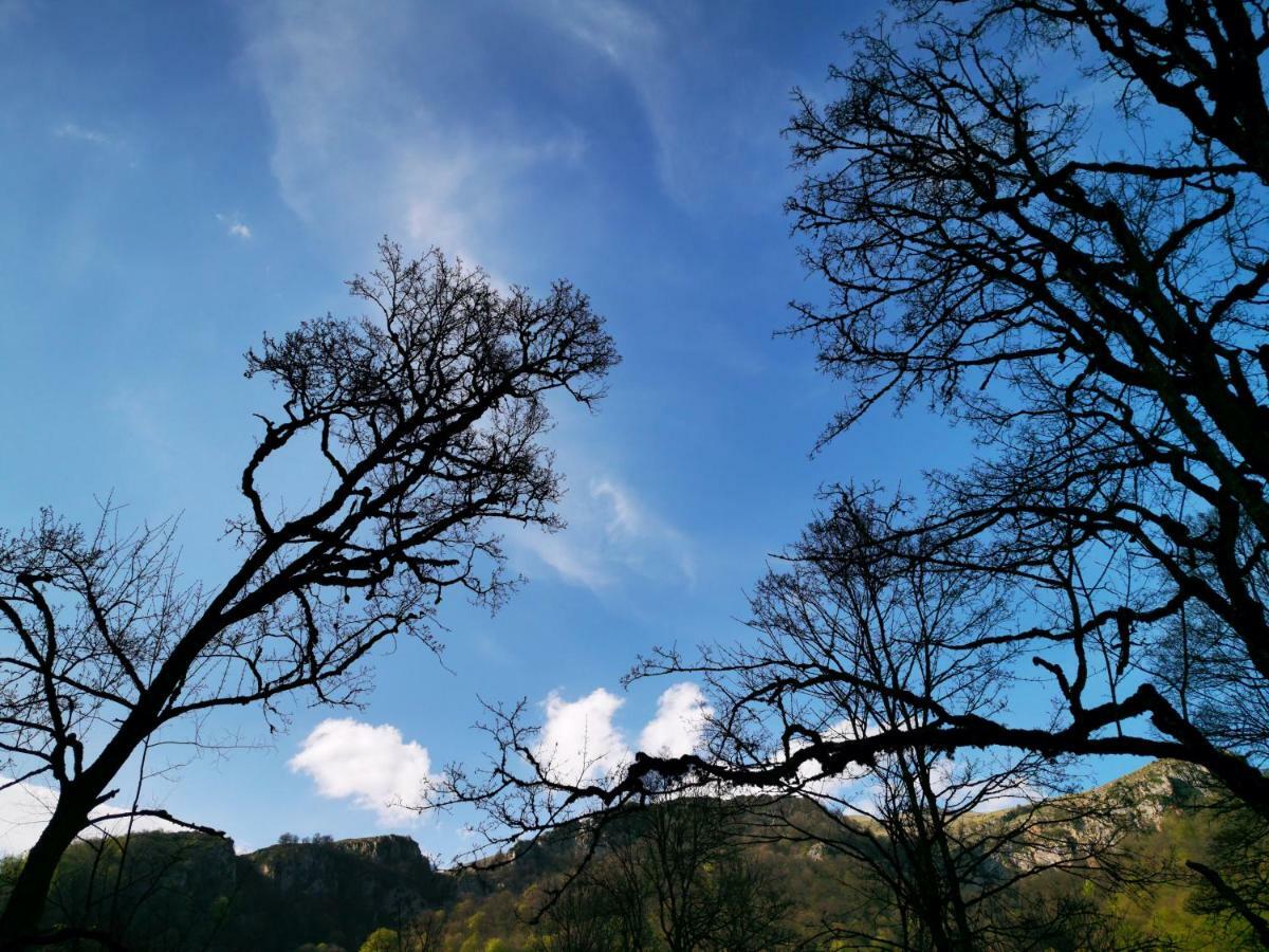 Hotel Vanatun, Haghartsin Monastery Teghut Bagian luar foto
